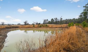 868 County Road 2920, Alba, TX 75410