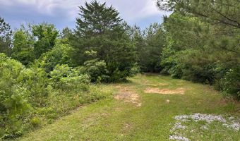 285 CO RD 235, Arley, AL 35541
