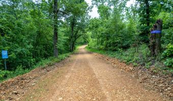 14 5 Neil Robinson Rd, Anderson, MO 64831