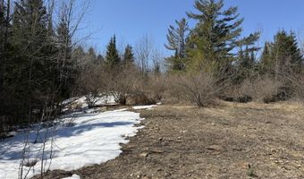 139 AC Witt Rd, Alpena, MI 49707