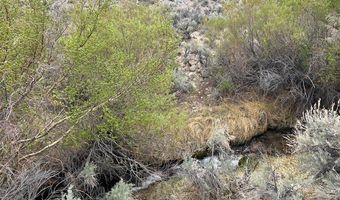 740 CHIATOVICH CREEK Rd, Dyer, NV 89010