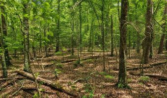 144 Hwy 341 S, Barnesville, GA 30204