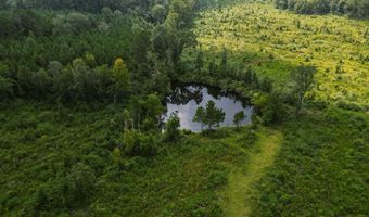 2778 SW Big Creek Dr, Bogue Chitto, MS 39629