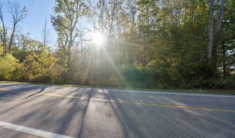 VL 61acres 34th, Allegan, MI 49010