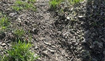 gentryville Trail Trail, Albany, MO 64402