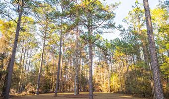 5809 Old Dawson Rd, Albany, GA 31721