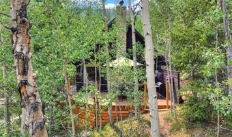 227 Roberts Rd, Alma, CO 80420