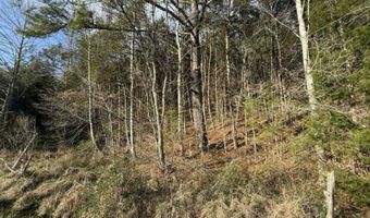 5 Acres Hwy 415, Albany, KY 42602