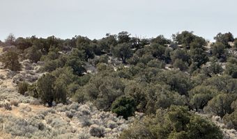County Road 2550, Aztec, NM 87410
