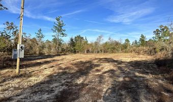 3015 Castillo Dr, Alford, FL 32420