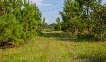 0 US Hwy 84 E, Andalusia, AL 36420