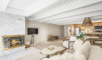901 E Hyman Ave 14, Aspen, CO 81611