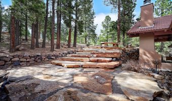21 Trevino Cir, Angel Fire, NM 87710