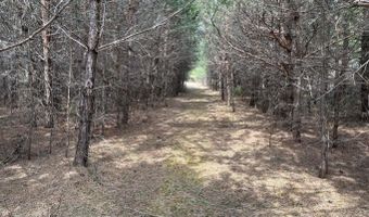 5280 Cathro Rd, Alpena, MI 49707