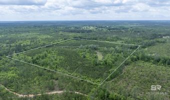 Phillipsville Road, Bay Minette, AL 36507