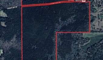 00 County Road 107, Ariton, AL 36311