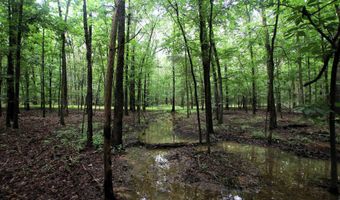 000 AVE 5 SW St, Atkins, AR 72823