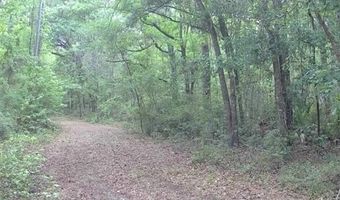 4814 NW 244 Ave, Alachua, FL 32615