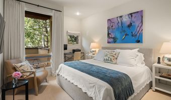 250 Mountain Laurel Dr B, Aspen, CO 81611