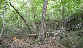 Whiskey Creek Lane, Batesville, AR 72501