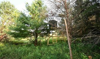 9537 LAKEVIEW Rd, Alanson, MI 49706