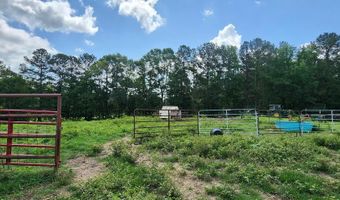 3350 SE Mt Pleasant Ln, Bogue Chitto, MS 39629