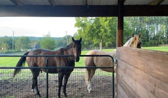 13009 NW 123RD Pl, Alachua, FL 32615