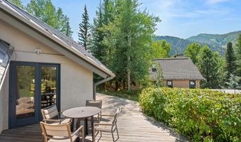 201 Midland Ave, Aspen, CO 81611