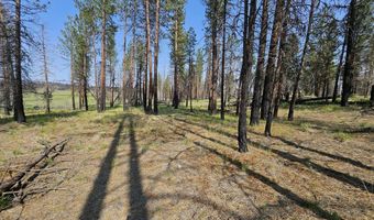 Parazoo Trail Lot 2 Block 8, Bly, OR 97622