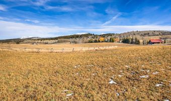 125 YELLOW ROSE Dr, Alta, WY 83414