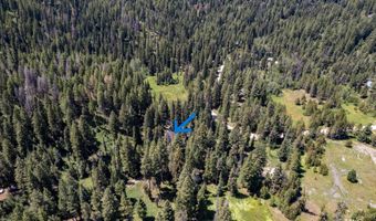 10324 Peterson Loop, Cascade, ID 83611
