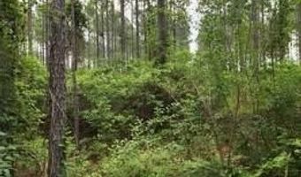 00 Pleasant Grove Church Road B, Albany, GA 31707