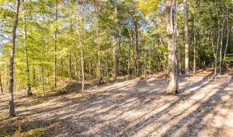 LOT 3 ROCK RIDGE SUBDIVISION, Arley, AL 35541