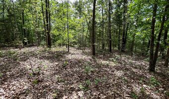 County Road 544, Bakersfield, MO 65609