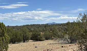 21 Off Of Cooks Trl, Ash Fork, AZ 86320