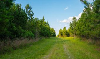 Mann Road, Arabi, GA 31712