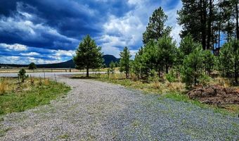 8 N COUNTY ROAD N2062 008, Alpine, AZ 85920
