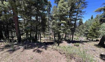 Rainbow Overlook Lot 1229RE Amended A, Angel Fire, NM 87710