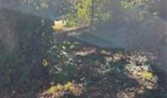 806 NW 1St St, Atkins, AR 72823