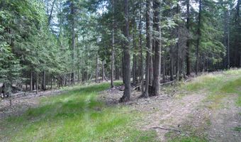 Nna 196 Acres Hwy 95, Bonners Ferry, ID 83805