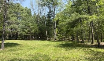 Gold Coast Road, Bridgewater, VT 05034