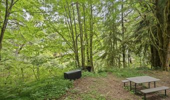 10235 RIDGE VIEW Ter, Birkenfeld, OR 97016