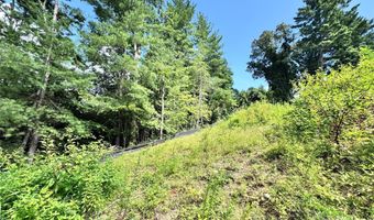 3 Winter Hawk Dr 1, Arden, NC 28704