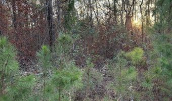 Lot 395 Singer Lane, Abbeville, AL 36310