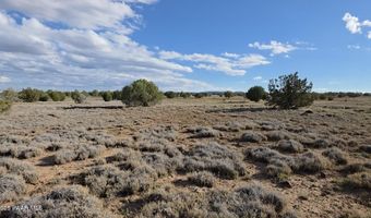 293 294 Arizona Rd, Ash Fork, AZ 86320