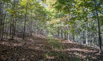 County Road 204, Alton, MO 65606