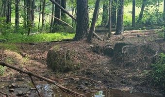 Piney Mountain Rd, Appomattox, VA 24522