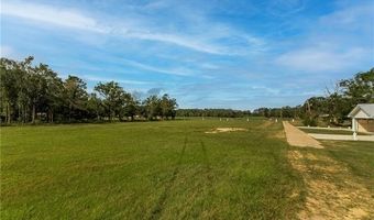 60222 N BELL Rd, Amite, LA 70422