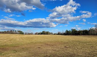 360 PATRICK HENRY HYWY Lot 2 & 3, Amelia Court House, VA 23002