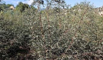 2562 Donnil Ln 102-081-05-00, Fallbrook, CA 92028
